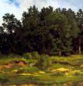 Дубровый лесок в серый день. 1873 - 33,5 х 57,4 см Холст, масло Россия Москва. Государственная Третьяковская галерея