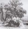 Дуб на берегу Финского залива. 1857 - 23,8 х 30,7