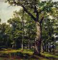 Дубовый лес. 1869 - 55.8 х 82