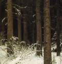 Еловый лес зимой. 1884 - 140 х 95