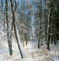 Зима в лесу, иней. 1877 - 40,8 х 25,3