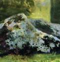 Камни. Этюд. 1880-1890-е - 11,3 х 22,8