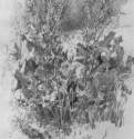 Конский щавель. 1870-е - 32,4 х 22,7