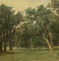 Лесная поляна. 1889