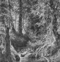 Лесной ручей. 1880 - 77,4 х 61,4