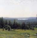 Лесные дали. 1884 - 112,8 х 164
