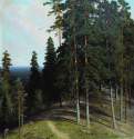 Лес с горы. 1895 - 106,4 х 73