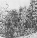 Лиственный лес. 1873 - 30,6 х 45,9