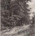 На лесной меже. 1878 - 23 х 17