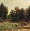 На окраине дубового леса. 1882 - 86 х 139