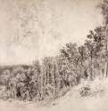 Овраг в Козловке-Засеке. Группа деревьев. 1873 - 36,4 х 60,4
