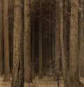 Паутина в лесу. 1880-е - 44,8 х 30,5