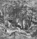 Валаам.Лес на камнях. 1859 - 42.4 х 57.2