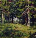 Поляна в лесу. 1889 - 38 х 62