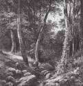 Ручей в лесу. 1870 - 21,8 х 15,2