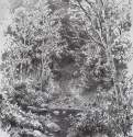 Ручей в лесу. 1880-е - 66 х 41,5