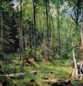 Смешанный лес. Шмецк близ Нарвы. 1888 - 83 х 101