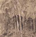 Весной в лесу. 1880-е - 26 х 17,6