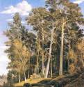 Сосновый лес. 1866 - 91 х 70