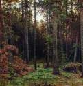 Сосновый лес. 1885 - 113,5 х 161