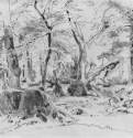 Спиленное дерево. 1870-е - 23 х 32