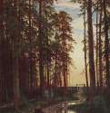 Вечер в сосновом лесу. 1875 - 116 х 87.7