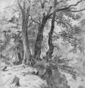 В лесу. 1886 - 47 х 32.8