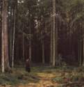 В лесу графини Мордвиновой. Петергоф. 1891 - 81 х 108