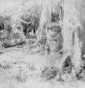 Вырубленный лес. 1880-е - 22.3 х 32