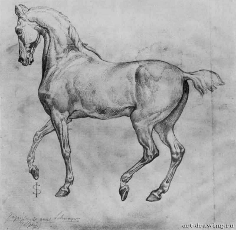 Гарцующая лошадь, 1818 - 1819 - 185 х 195 мм. Перо коричневым тоном, на бумаге. Любек. Музей искусства и истории культуры.