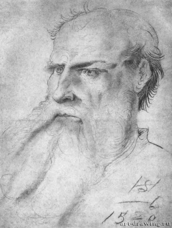Портрет бородатого мужчины. 1520 - 285 x 216 мм. Черный мел на бумаге. Берлин. Гравюрный кабинет. Германия.