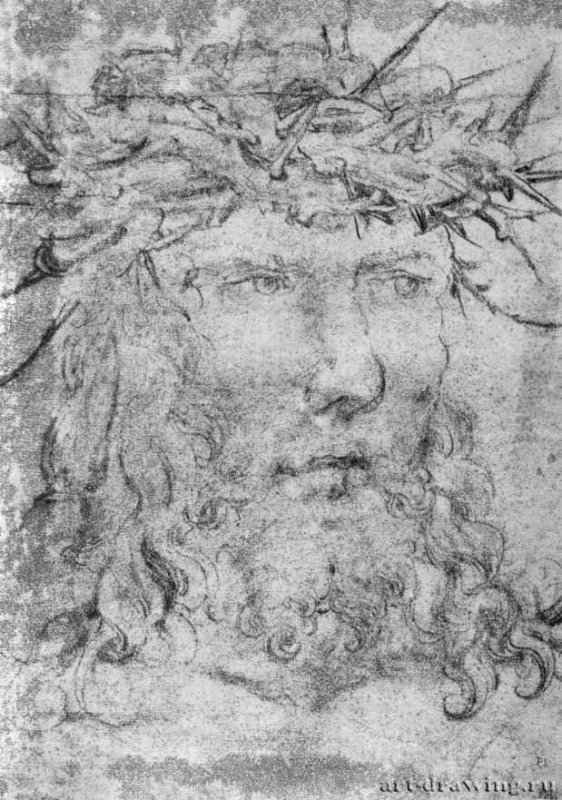 Голова Христа. 1520-1536 - 258 x 186 мм. Сангина на бумаге. Париж. Лувр, Кабинет рисунков. Германия.