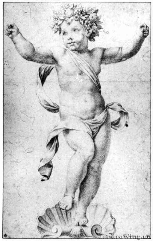 Путто, стоящий на раковине, анфас. 1645-1651 - 380 х 238 мм. Черный мел на бежевой бумаге, разметка на квадратычерным мелом. Париж. Школа изящных искусств, личные коллекции. Франция. Совместно с мастерской.