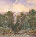 Тропинка между кедрами, 1892 г. - Акварель; 26,9 x 37,3 см. Оттава. Национальная галерея Канады. Канада.