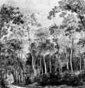 Дорога в лесу. Первая половина 17 века - Перо, тонировка, на бумаге 348 x 297 мм Кунстхалле Гамбург