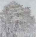 Группа деревьев в лесу. 1600 - 284 х 200 мм Перо коричневым тоном, подцветка желтым, зеленым и коричневым, отмывка, на голубой бумаге Гамбург Кунстхалле, Гравюрный кабинет Голландия