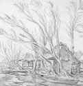 Домики и деревья без листьев. 1625 -1630 - Черный мел 10,8 x 20,9 Риксмузеум Амстердам
