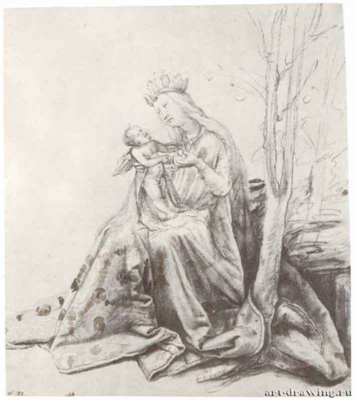 Мадонна с младенцем, сидящая под деревом. 1516 - 314 х 278 мм. Черный мел и кисть коричневой акварелью, на бумаге. Берлин. Гравюрный кабинет. Германия.