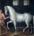 Испанская лошадь, захваченная в битве при Ньюпорте. 1603 - Холст, масло 228 x 269 Риксмузеум Амстердам