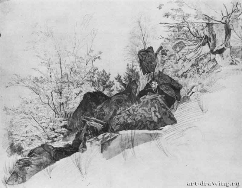 Скалы и деревья: камни на первом плане. 1822 - 345 x 450 мм. Карандаш, кисть бистром, тушь, подсветка белым, на белой, слегка пожелтевшей бумаге. Осло. Национальная галерея.