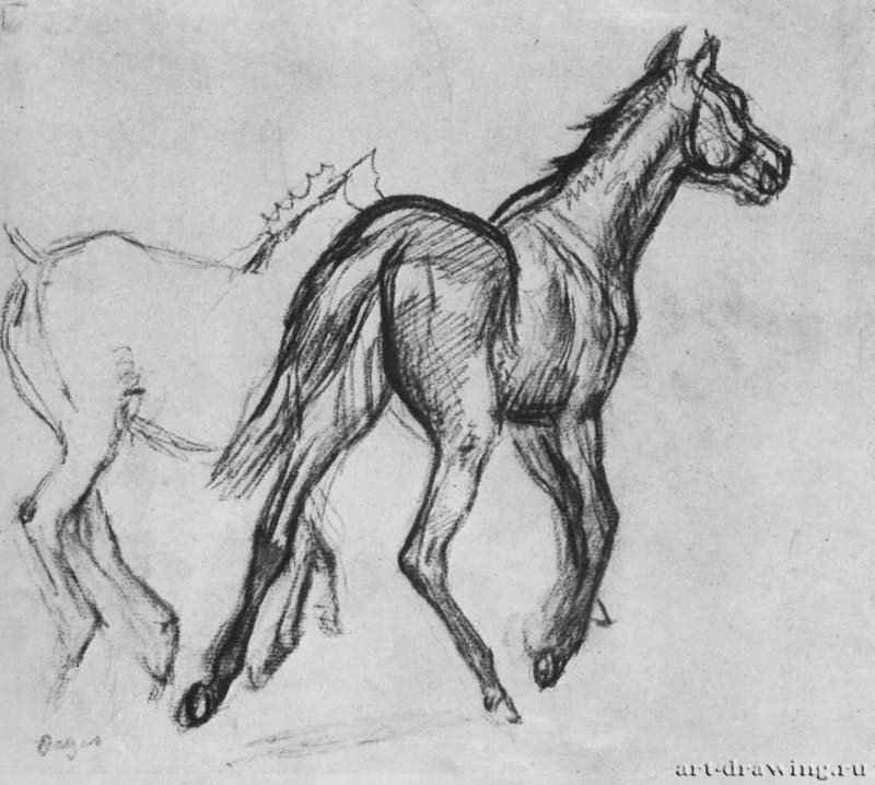Две бегущие рысью лошади. 1882 - 242 x 267 мм Уголь на бумаге Гамбург. Частное собрание Франция