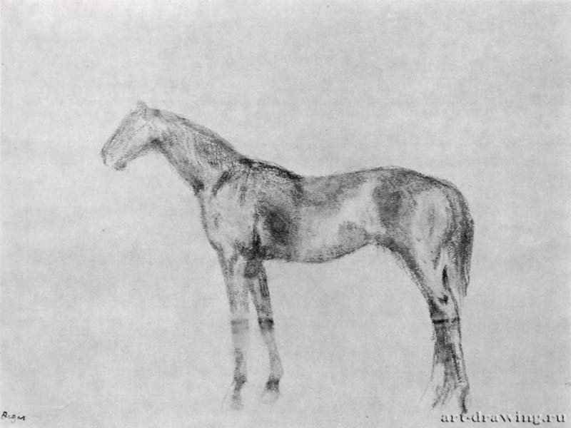 Конь в профиль. 1878-1880 - 300 х 408 мм Монотипия Вашингтон. Художественная галерея Коркорен Франция