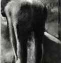 Женщина, вытирающая ноги у края ванны. 1882-1885 - 451 х 239 мм Монотипия, оттиск чёрным на кремовой бумаге Париж. Лувр, Кабинет эстампов Франция