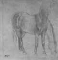 Стоящая лошадь. 1861-1863 - 237 x 263 мм Карандаш на серой японской бумаге Роттердам. Музей Бойманса - ван Бёйнингена Франция