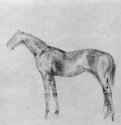 Конь в профиль. 1878-1880 - 300 х 408 мм Монотипия Вашингтон. Художественная галерея Коркорен Франция