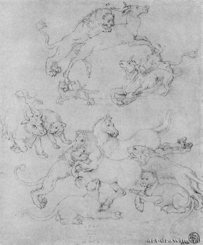 Лист этюдов с нападающими зверями. 1505 - 35 x 28,3 Перо поверх рисунка серебряным штифтом, на бумаге Государственное собрание графики Мюнхен
