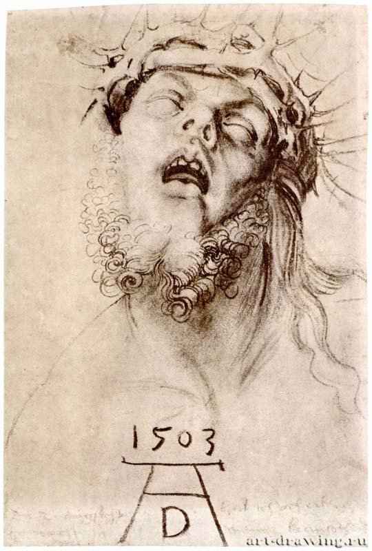 Мертвый Христос в терновом венце. 1503 - 36 х 21 Уголь на коричневатой бумаге Британский музей, Отдел гравюры и рисунка Лондон