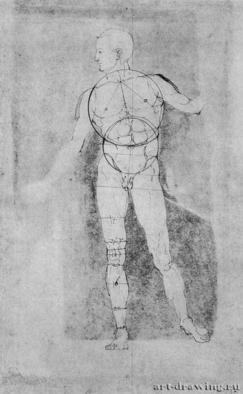 Обнаженный (Адам). 1506 - 26,5 x 16,7 Перо на бумаге Собрание графики Альбертина Вена