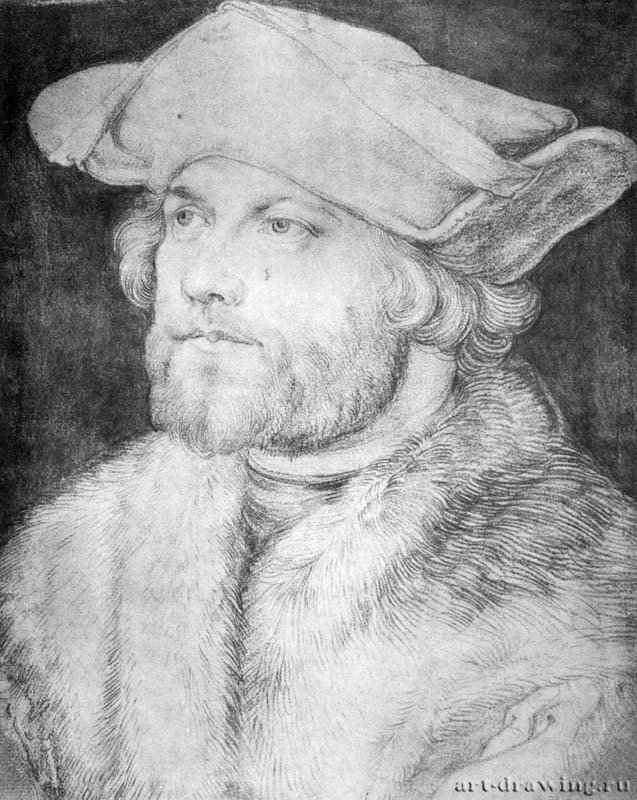 Портрет мужчины ( Дамиан ван дер Гус). 1525 - 36 x 29 Мел, кисть, бумага Собрание графики Альбертина Вена