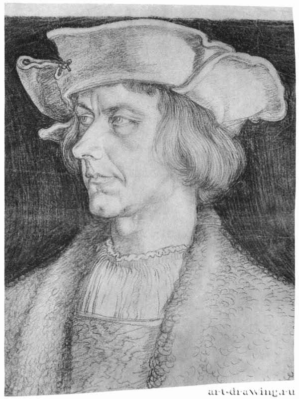 Портрет мужчины (Пауль Хофхаймер или Ханс Тухер). 1518-1520 - 37 x 27,6 Уголь (или мел) коричневым и черным тоном, на бумаге, лист обрезан Британский музей, Отдел гравюры и рисунка Лондон